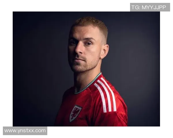 威尔士传奇球星：足球界的翡翠明珠